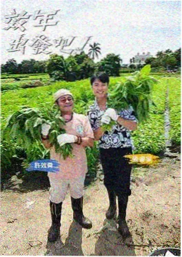 深夜食堂开麦了综艺海报